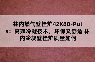 林内燃气壁挂炉42K88-Puls：高效冷凝技术，环保又舒适 林内冷凝壁挂炉质量如何